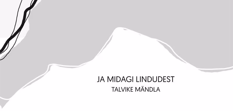 Kitsail kiviseil tänavail roomab tõde – pisike salalik loom