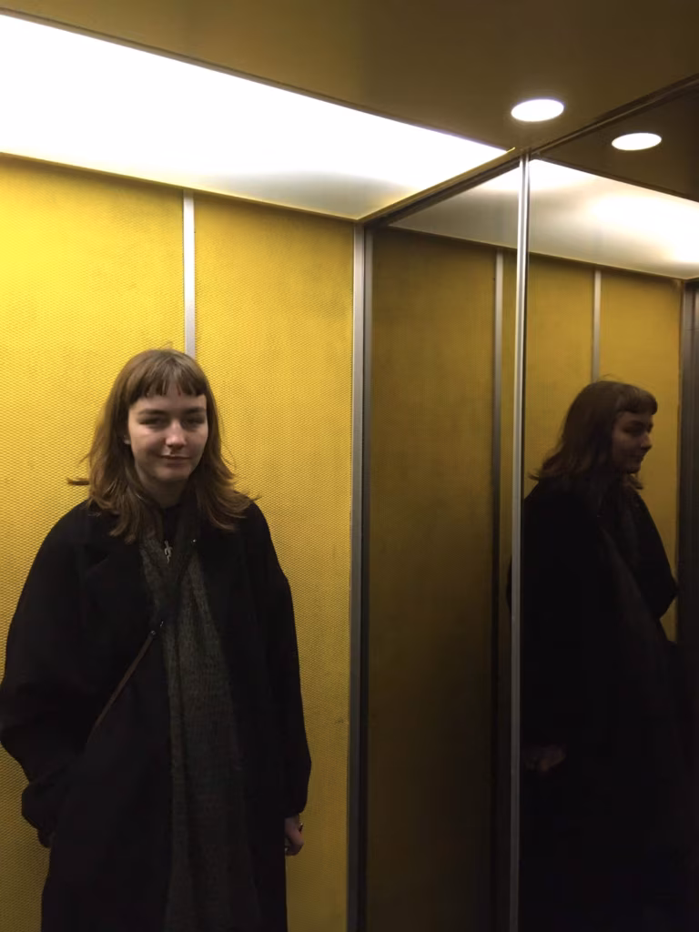 Täiusliku segipaisatuse panoraam