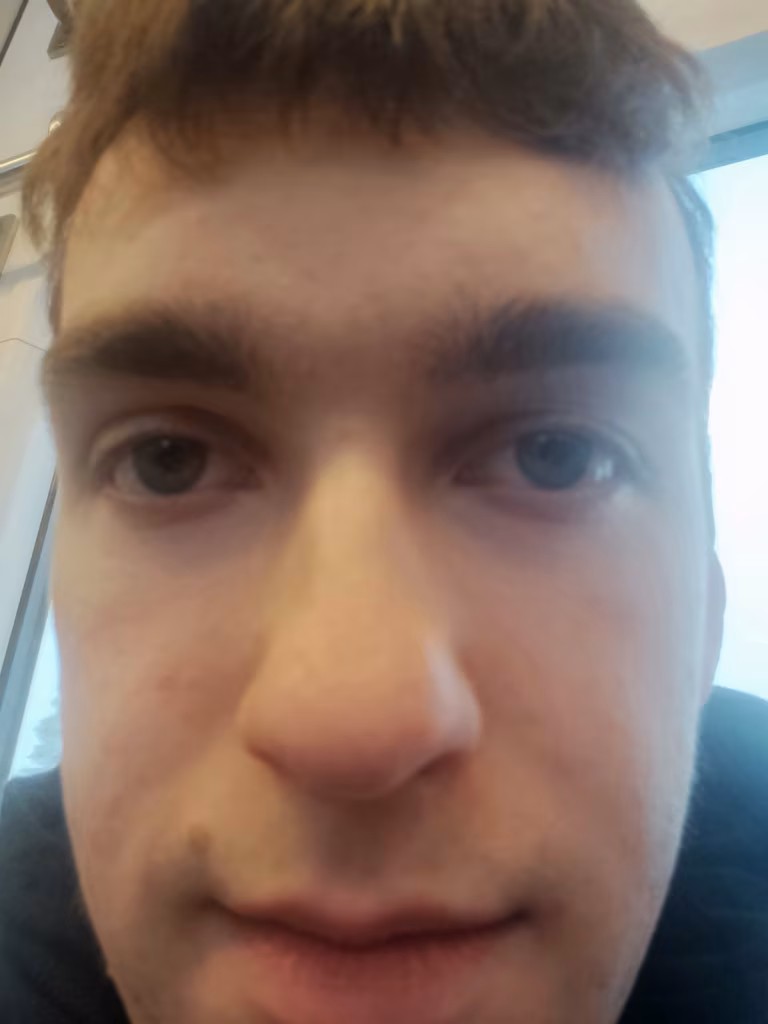 “Puhas esteetika” jt luuletusi